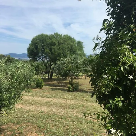 Appartamento Murta Maria Mare *
