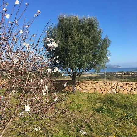 Appartamento Murta Maria Mare Olbia